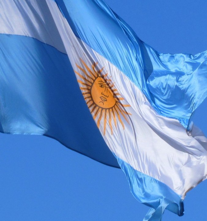  decret el uso de la bandera creada por Belgrano como insignia nacional